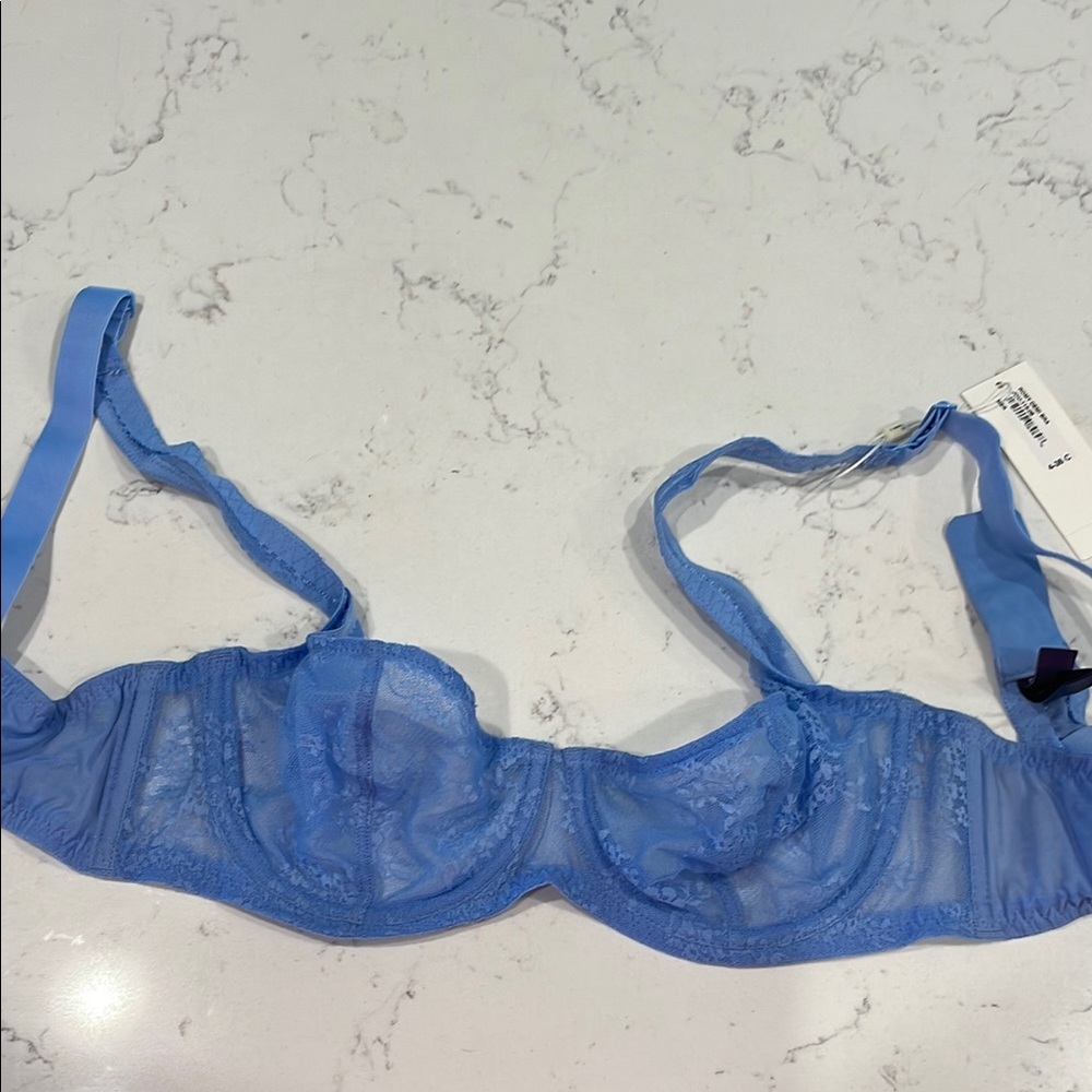 Romy Elegant Blue Sheer Bra